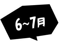6~7月