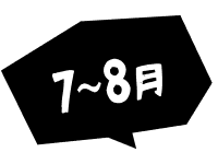 7~8月