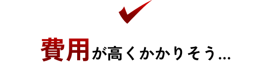 費用が高くかかりそう…